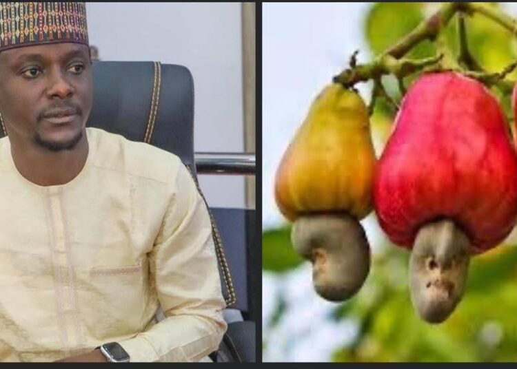 You’re Chosen to Serve, Not to Defraud Us —Farmers Tells Kogi Assembly member,Akus