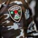FG, governors agree to establish state police