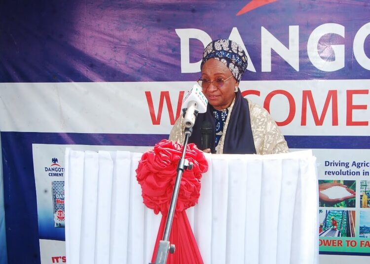 Dangote Advocates Local Content Development At Kaduna Fair