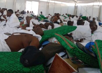 2024 Hajj: Kogi pilgrims, others from across the glob assemble on Arafah