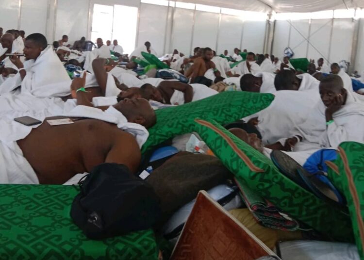 2024 Hajj: Kogi pilgrims, others from across the glob assemble on Arafah