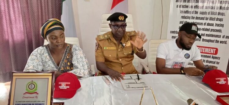 Kogi NDLEA arrests 149 suspects, seizes 1.49 tons of illicit drugs