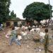 Kogi L-PRES Conducts Census of Livestock Markets for Proposed Rehabilitation