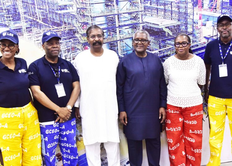 Africans Will Develop Africa, Dangote Tells Global CEOs