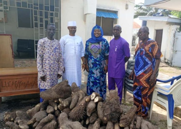 NGO auctions yam tubers in Kogi, to invest proceeds in women, youth empowerment
