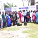 “Dangote Group Leads Coastal Restoration Drive in Lagos”