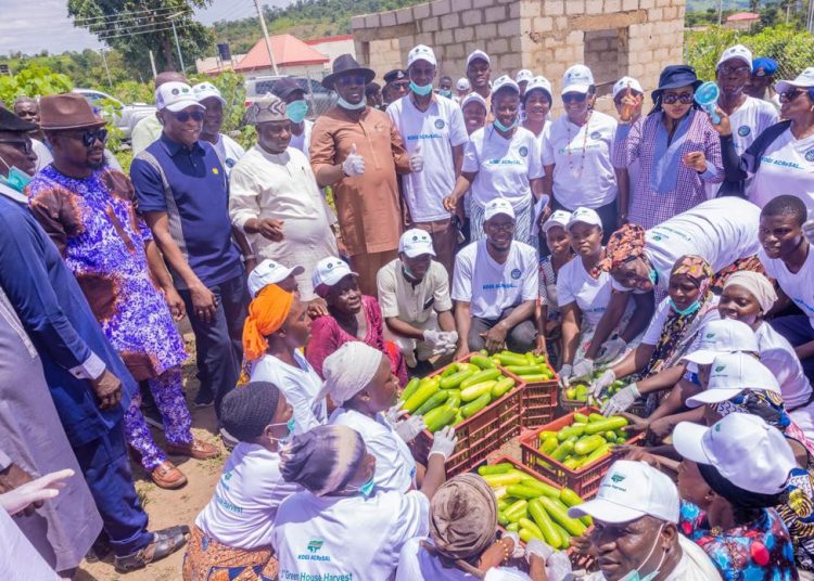 Kogi harvests first Greenhouse-Grown cucumber at Federal University Lokoja