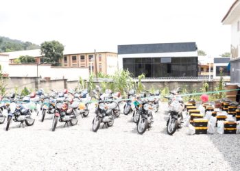 Kogi launches national animal identification, traceability system to enhance livestock productivity