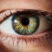 Over 4.2m Nigerians blind, visually impaired—Says Sightsavers