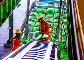 Dangote Fertiliser Limited Partners with German’s thyssenkrupp Uhde to License Four Urea Granulation Units in Nigeria