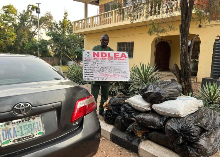 Troops of 12 Brigade intercept drug courier, recover large consignment of cannabis in Kogi