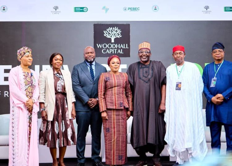 Woodhall Capital Targets $50 Billion in Global Investments to Drive Nigeria’s Development