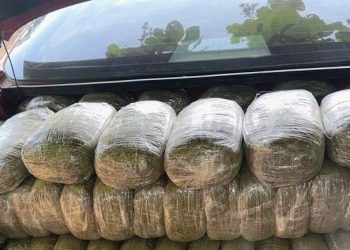 Troops of 12 Brigade intercept vehicle loaded with 306 parcels of Cannabis in Kogi