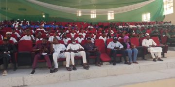 CNG laments drugs abuse among Nigerians, says over 50% students are drugs dependent
