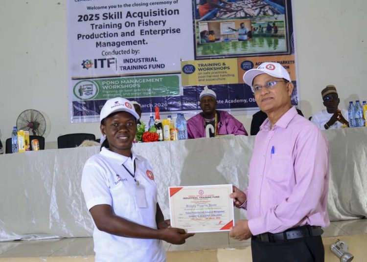 Dangote Cement Obajana graduates 40 in fish farming, entrepreneurship