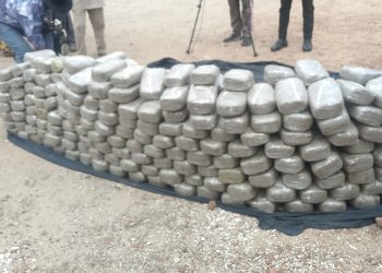 Kogi Police Arrest Two, Recover 339 Wraps of Suspected Indian Hemp in Kabba