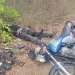 Troops Kill Terrorist, Recover Arms in Kogi Forest Operation