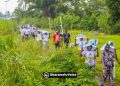 Protesters bar logistics to Chevron, Shell, NestOil/Neconde over alleged presidential interference in INEC report