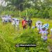 Protesters bar logistics to Chevron, Shell, NestOil/Neconde over alleged presidential interference in INEC report