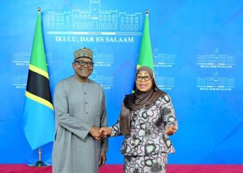 Tanzania, Dangote Group Explore Multi-Billion-Dollar Investments in Infrastructure, Energy, Fertiliser