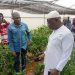 Federal Polytechnic Idah Records First Greenhouse Harvest, Rector Commends Gov. Ododo’s Support
